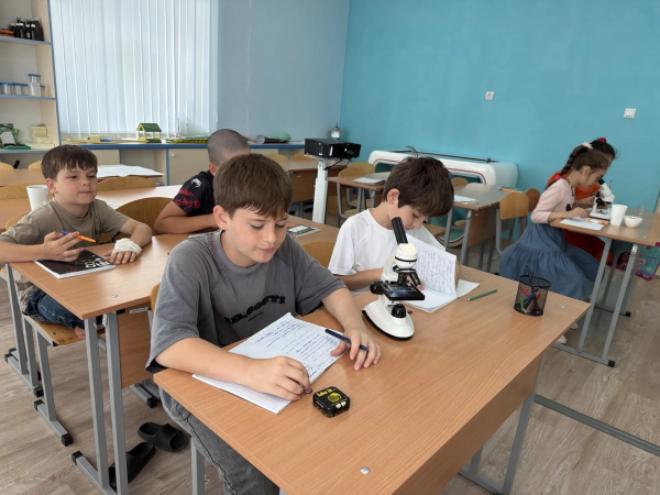 Завершились занятия первой смены летнего каникулярного периода