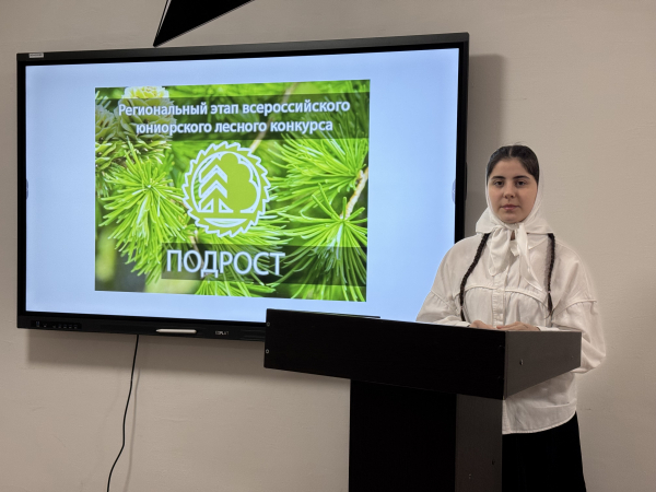 Региональный этап Всероссийского юниорского лесного конкурса «Подрост»